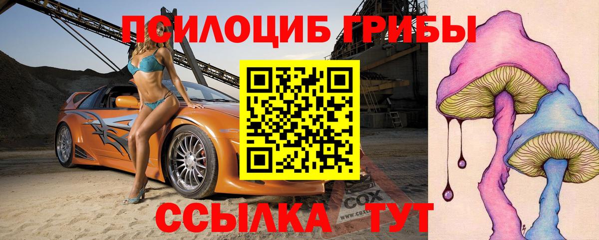 Галлюциногенные грибы Psilocybe  Вход с VPN  Алапаевск 